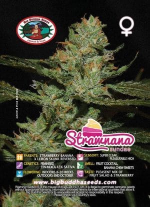 Strawnana Sundae