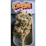 Supa Choopz from Zmoothiez Seeds
