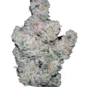 Super Boof cannabis seeds – 50% Indica/50% Sativa – The End of September – Resistant to Mould – image 1 from Seed City