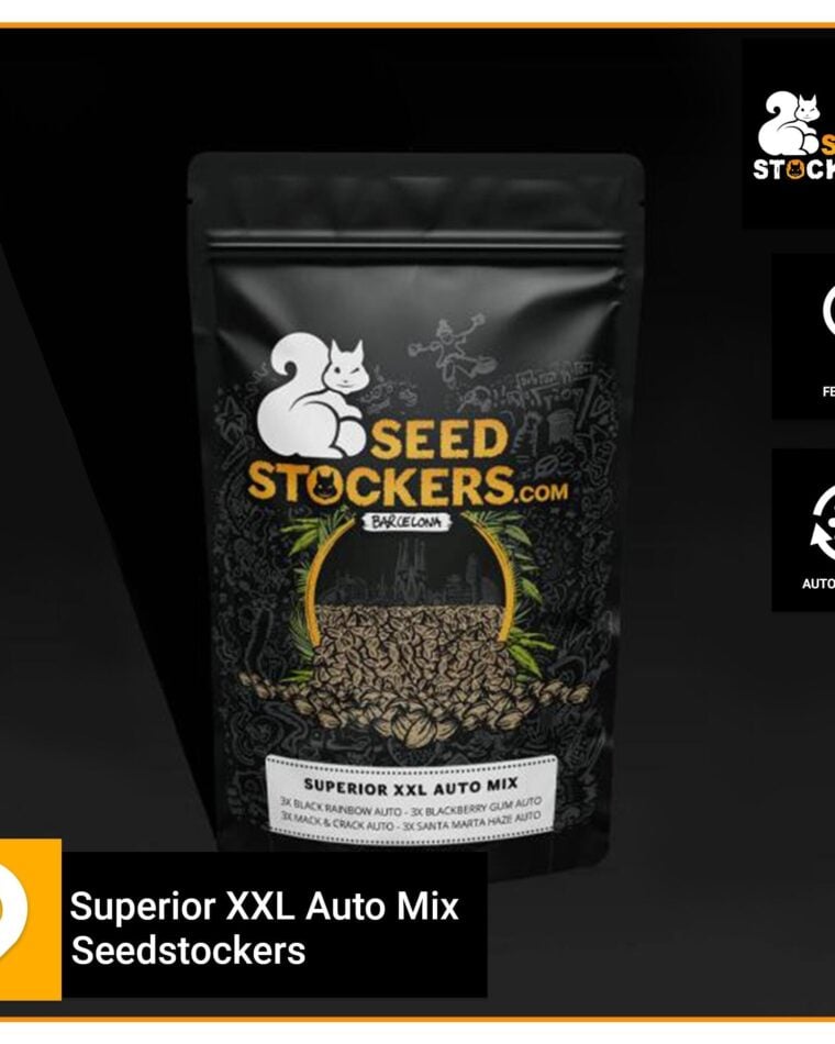 Superior XXL Auto Mix cannabis seeds – Indoor-friendly – Mostly Sativa – Auto-Flowering – image 1 from Seed City