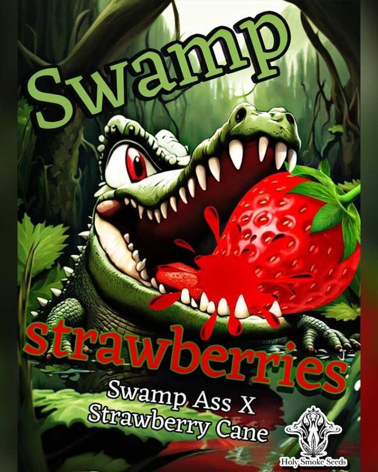 Swamp Strawberries by Holy Smoke Seeds – 12/12 Photoperiod – Fuel – 50% Indica/50% Sativa – image 1 – Seed City