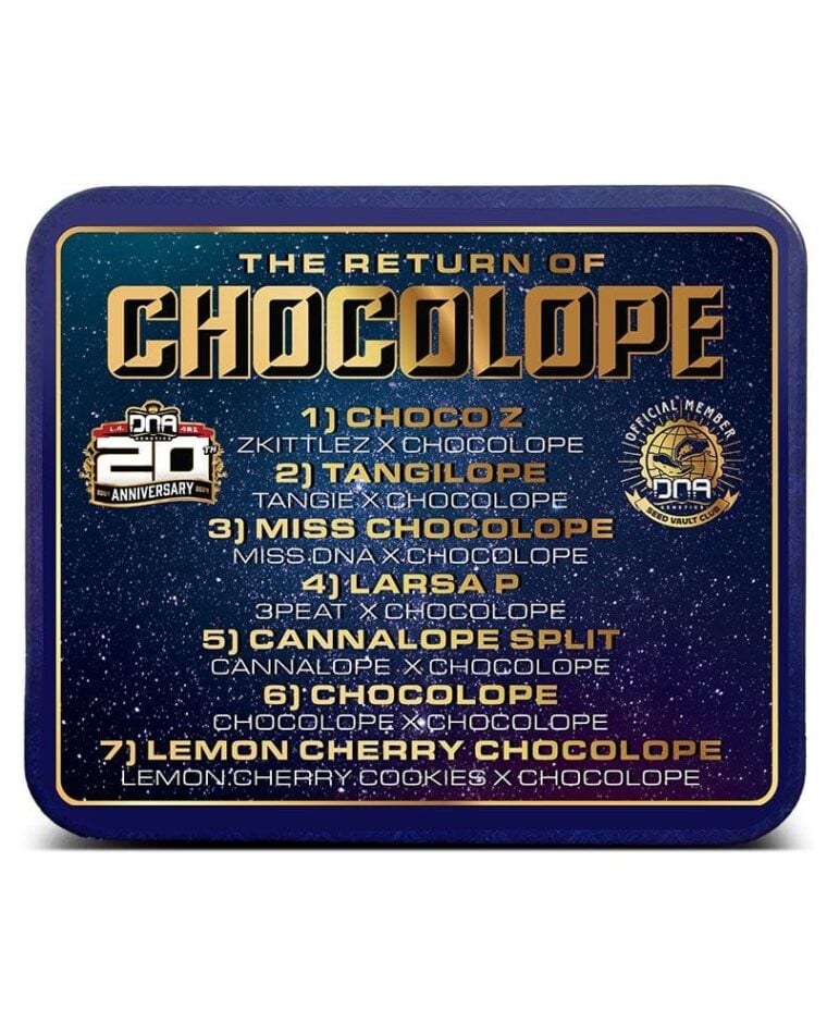 The Return of Chocolope - Collectors Pack cannabis – image 1 – Seed City