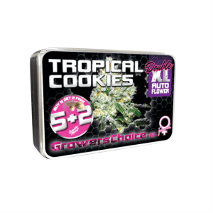 Tropical Cookies Double XL Auto