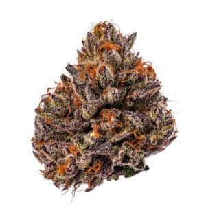 Tropicana Cherry TRIPLOID