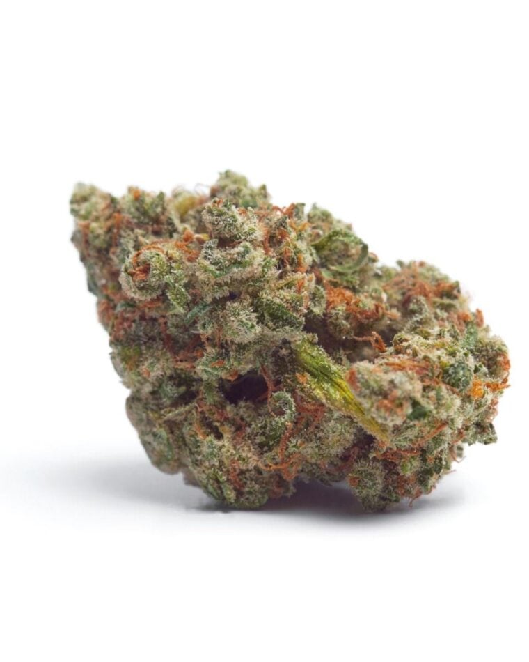 Image 1 of Tropicana Wedding Cake Auto cannabis by Growers Choice – Feminized – Cake – Super Strength – Seed City