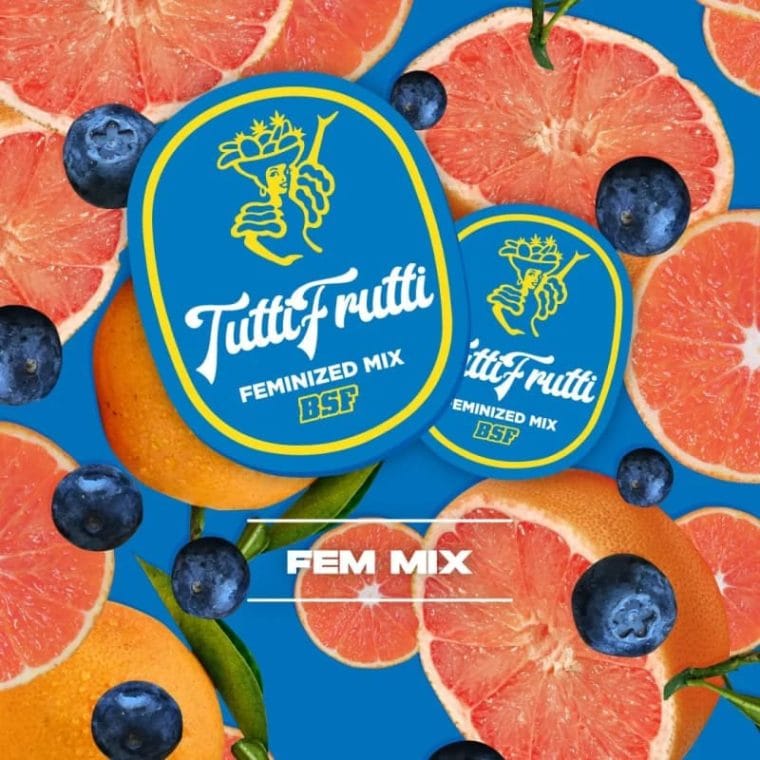 Tutti Frutti Feminized Mix cannabis – image 1 – Seed City
