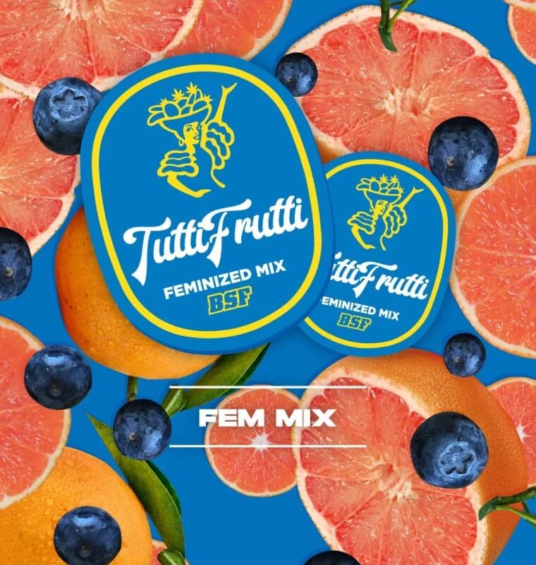 Tutti Frutti Feminized Mix cannabis – image 1 – Seed City