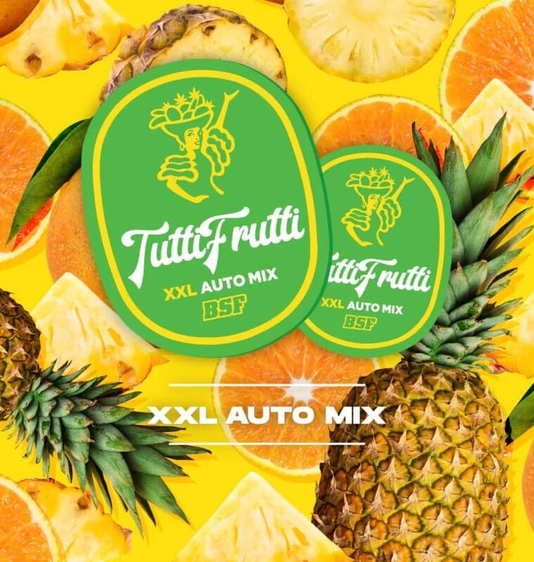 Tutti Frutti XXL Automix cannabis seeds – Guaranteed female plants – Auto-Flowering – Citrus – image 1 from Seed City