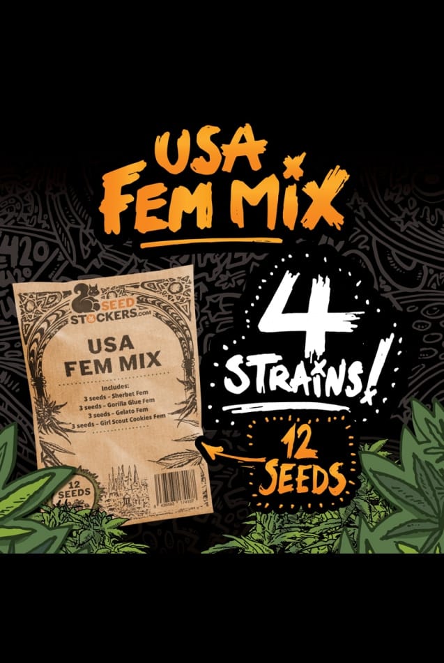 Guaranteed female plants – 12/12 Photoperiod – USA Fem Mix strain – image 1 – from Seed Stockers via Seed City