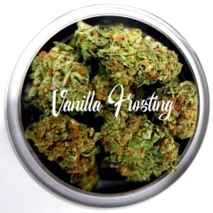 Vanilla Frosting cannabis seeds – Mostly Indica – Outdoor – Vanilla – image 1 from Seed City