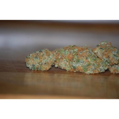 Vertigo by Paradise Seeds – Auto-Flowering – Excellent harvest potential – Fruity – image 2 – Seed City