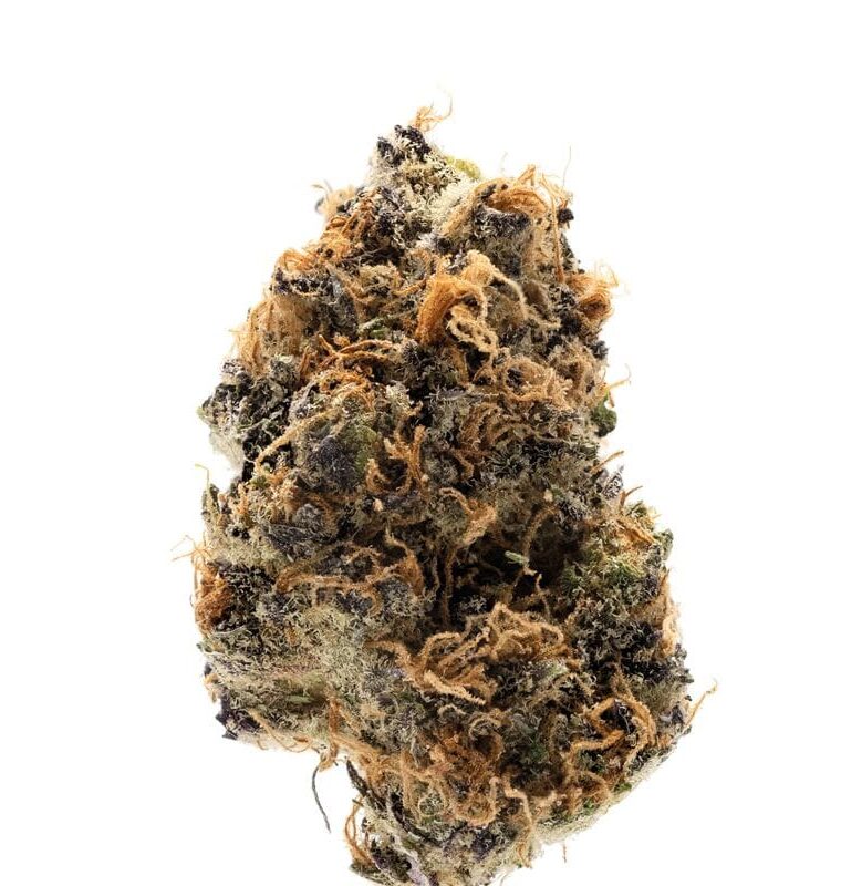 Watermelon Punch Autoflower cannabis seeds – Super Strength – Auto-Flowering – Narcotic – image 1 from Seed City