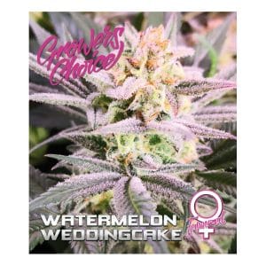 Watermelon Wedding Cake