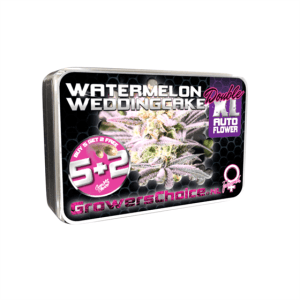 Watermelon Weddingcake Double XL Auto
