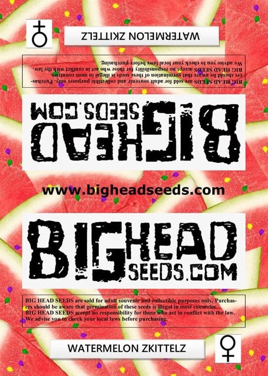 Watermelon Zkittelz cannabis seeds – Uplifting – Guaranteed female plants – Hashy – image 1 from Seed City