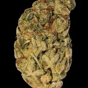 Berry – Happy – Feminized – Wedding Cake strain – image 1 – from Big Head Seeds via Seed City