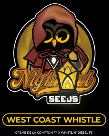 Image 1 of West Coast Whistle cannabis by Night Owl Seeds – Indoor-friendly – Motivational – Sativa Dominant – Seed City