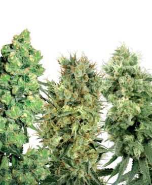White Label Female Mix