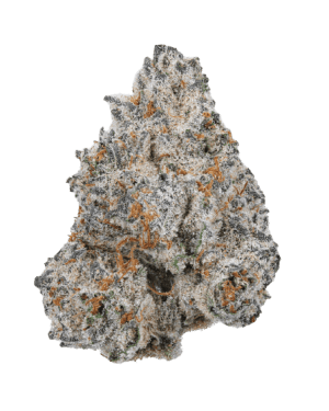 White Truffle