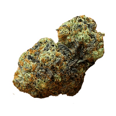 White Truffle Auto cannabis seeds – Auto-Flowering – Mostly Indica – Indoor – image 1 from Seed City