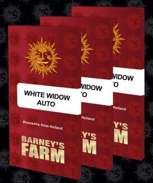White Widow Auto