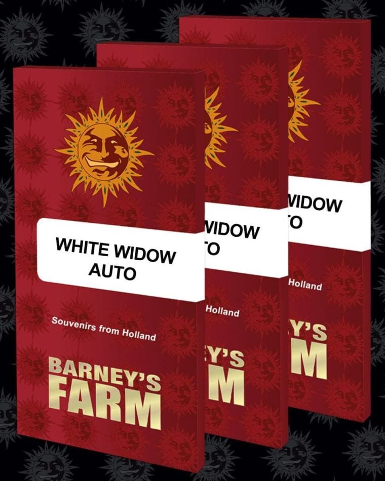 White Widow Auto from Barneys Farm Seeds