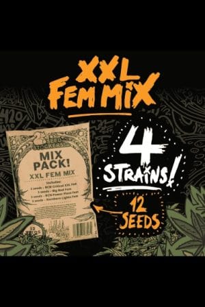 XXL Fem Mix