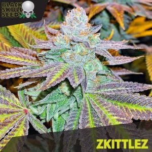 Zkittelz