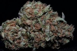 Zkittelz