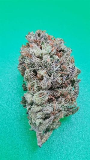 Zkittlez 36 Auto