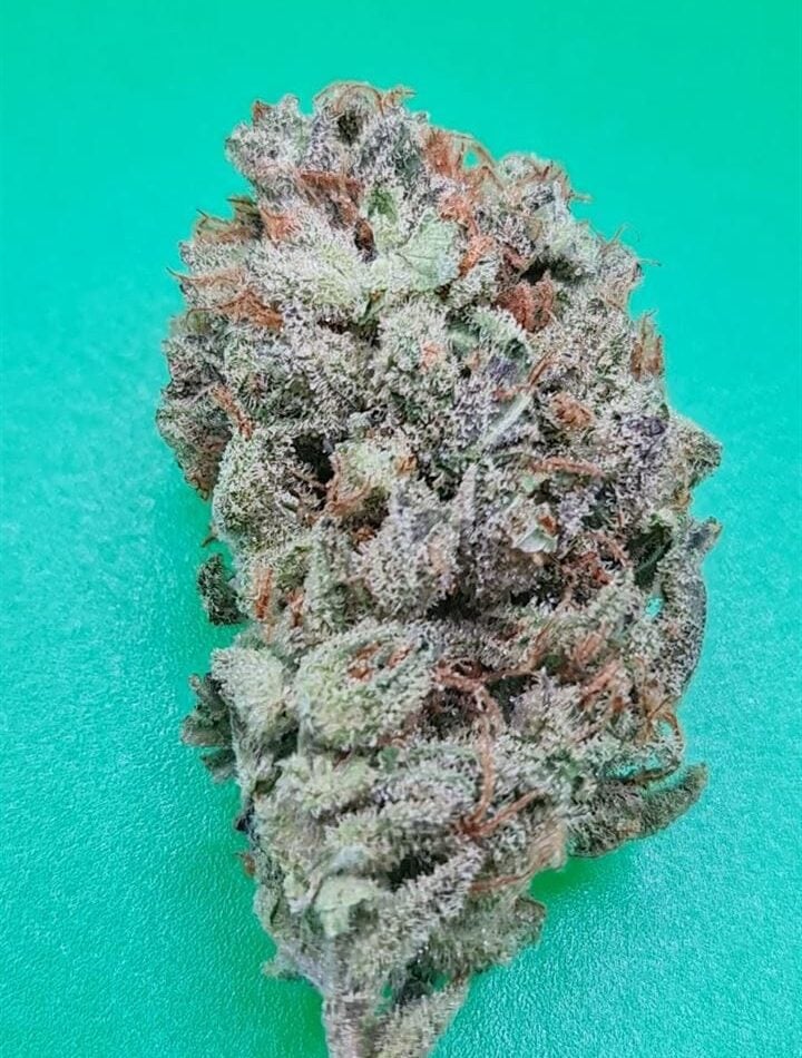 Zkittlez 36 Auto from KC Brains