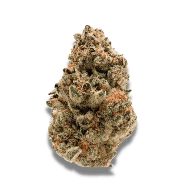 Middle of October – Excellent harvest potential – Sweet – Zkittlez strain – image 1 – from Growers Choice via Seed City