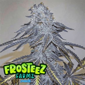 Zmintz