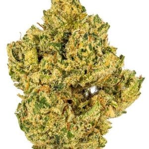 Zweet Inzanity RF3 Auto cannabis seeds – Uplifting – Piney – High Yielding – image 1 from Seed City