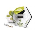 Indica Dominant – 12/12 Photoperiod – Super Strength – Crazy Cookies strain – image 2 – from Zambeza Seeds via Seed City