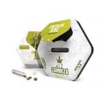 Critical XXL by Zambeza Seeds – Spicy – Outdoor – 12/12 Photoperiod – image 2 – Seed City