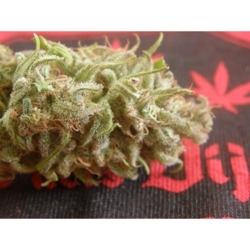 Crystal METH from Dr Underground