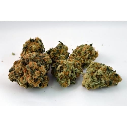 Durga Mata 2 CBD cannabis seeds – 12/12 Photoperiod – High CBD – Outdoor – image 3 from Seed City