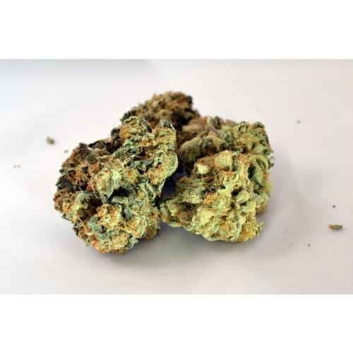 Durga Mata 2 CBD from Paradise Seeds