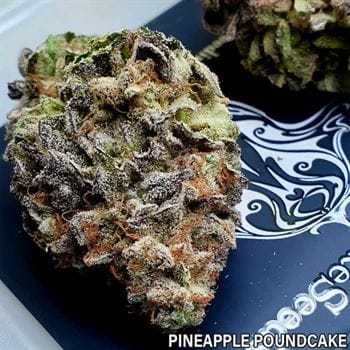 Pink Pineapple Kush cannabis – image 6 – Seed City