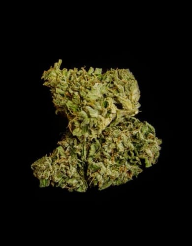 Medusa F1 Auto from Royal Queen Seeds