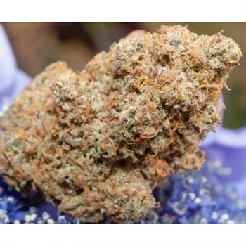Outlier Z F4 Auto cannabis seeds – Feminized – Sweet – Auto-Flowering – image 2 from Seed City