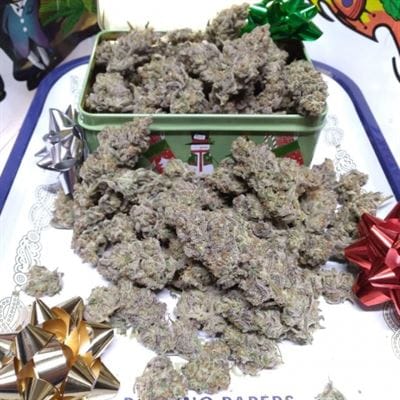 Scoopski F2 Auto cannabis seeds – 50% Indica/50% Sativa – Gassy – Outdoor cultivation – image 2 from Seed City