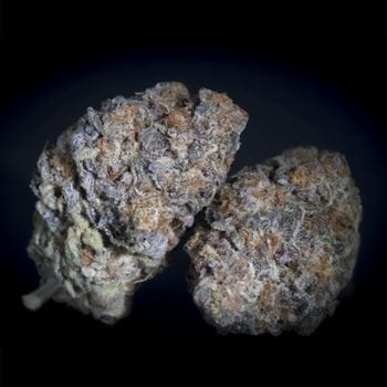 Gulupa by Paradise Seeds – Suited for indoor growing – Indica-heavy – 12/12 Photoperiod – image 3 – Seed City