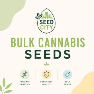 Seed City Bulk Cannabis Seeds Logo