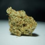 Stracciatella from TH Seeds