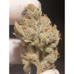 showing Suited for indoor growing – Citrus – Mostly Indica – image 1 – Seed City