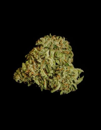 Auto-Flowering – Uplifting – Indoor-friendly – Titan F1 Auto strain – image 3 – from Royal Queen Seeds via Seed City