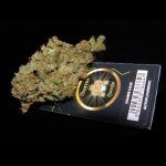 showing Sativa Dominant – Indoor-friendly – Piney – image 1 – Seed City