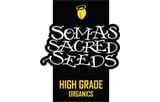 Soma Seeds
